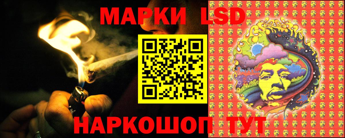Псилоцибиновые грибы Домодедово