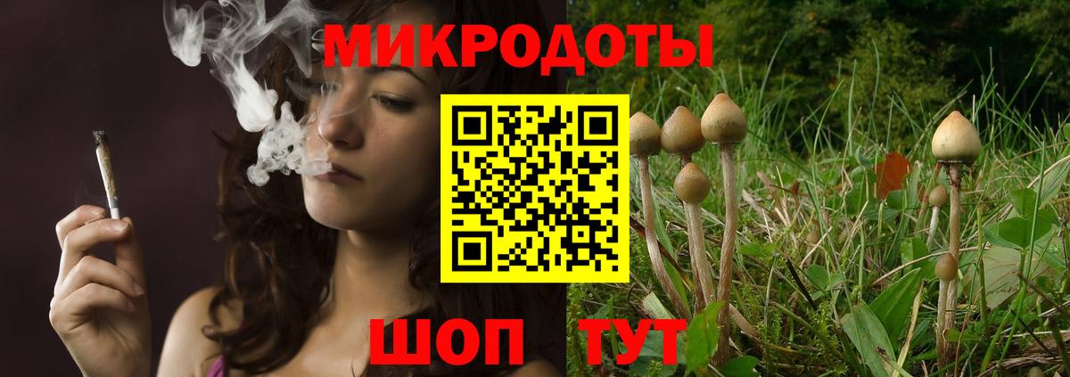 Псилоцибиновые грибы мицелий Домодедово